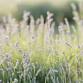 A Farm-to-Table Dinner Experience at Luckey Road...