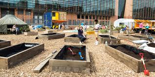 Mas como geralmente roms do treble são bem bugadas, um desenvolvedor pegou o beta 4 do android q, portou para o moto g5s plus e agora tá totalmente rápida e funcional, perfeita para se usar no dia a dia! T Factor Unleashing Future Facing Urban Hubs Through Culture And Creativity Led Strategies Of Transformative Time Ual