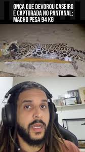 A onça que atacou o caseiro foi capturada?