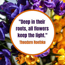 The local florist you know and trust. Conroy S Flowers Rancho Cucamonga Conroysranchoc Twitter