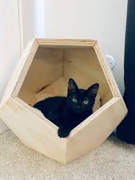Geometric Cat House Dodecahedron Pet Abode Etsy Geometric Cat Cat House Diy Pet Furniture