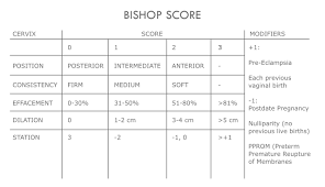 Image result for Bishop Score