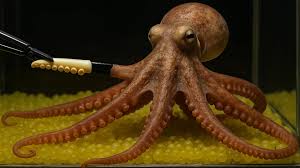 Maria follosco alua when we met, we talked about all the