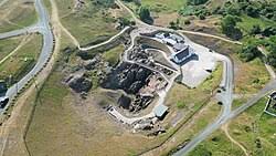 Image result for Crotalaria prolongata