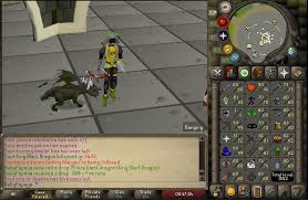 What A Grind Kbd Pet 6 438 Kc First Pet Not My Last Bye Bye Dragon Hunter Crossbow 2007scape