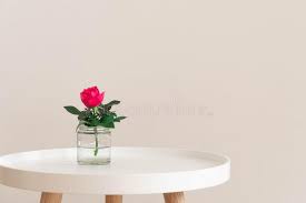 (3) total ratings 3, $296.73 new. Single Pink Rose In A Glass Vase On A Small White Coffee Table On Neutral Wall Background Stock Photo Image Of Blossom Modern 165434092