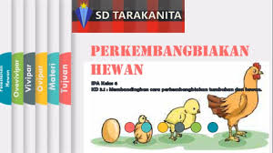 We did not find results for: Perkembangbiakan Hewan Ovipar Vivipar Dan Ovovivipar Youtube