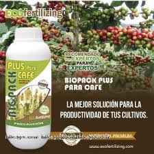 And got to believe dec 10 2013 replay likoff. Cafes Lista De Empresas De Cafes Direcciones Y Telefono