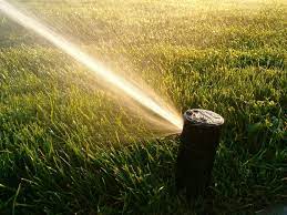 Best Time To Water Grass More Lawn Doctor