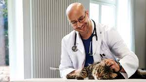 Hours may change under current circumstances Austin Covid 19 Vaccine Pathway Vet Alliance Offers Help Giving Shots