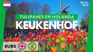 Maybe you would like to learn more about one of these? Keukenhof Todo Sobre El Mayor Parque De Tulipanes Del Mundo Holanda Youtube