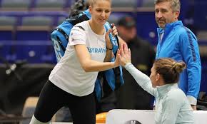 Echipa de fed cup a româniei va întâlni cehia în primul tur al grupei mondiale. Cehia Romania Fed Cup Cum AratÄƒ Cotele Inainte De Partidele De Maine