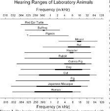 Pdf Hearing Ranges Of Laboratory Animals Semantic Scholar