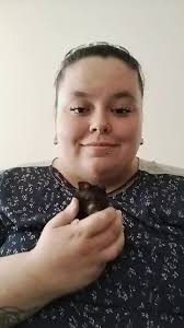 Donut Fruit Roll Up Hamster