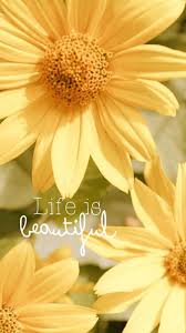 320x480 iphone 4, iphone 4s: Yellow Flowers Iphone Wallpapers