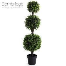 Boxwood (buxus green mountain), which is hardy in u.s. Artificial Cedar Topiary Trees Uv Rated Potted Plants In Plastic Pot Dearhouse 2 Pack 4 Foot Artificial Topiary Cedar Trees Potted Indoor Outdoor Plants Artificial Plants Flowers Artificial Shrubs Topiaries