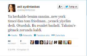 Alptekin ailesi 1980 darbesinden sonra hollanda'ya göç etti. Asli Aydintasbas Uludag Sozluk