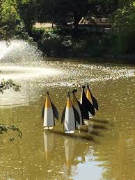 Ville De Clamart On Twitter Les Pingouins Sont De Retour Au Parc Maison Blanche Clamart Artcontemporain