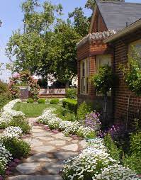 Plant near a path where the lemon scent will be released as you brush past. English Cottage Garden Cottage Garden English Cottage
