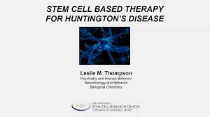 Video Stem Based Therapy For Huntington S Disease Leslie Thompson Uctv University Of California Television