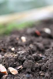 Check spelling or type a new query. Clay Soils Rhs Gardening
