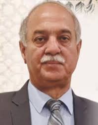 What are the key strategies being implemented by the Model Town Group to  address challenges?