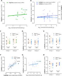 Gait Assessment Of Pain And Analgesics Comparison Of The