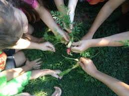 Whether you just want to get a nice stretch, let go of tension, or dive deep into the ocean of yoga wisdom, dyc provides a wide variety of classes, events, workshops and private lessons. Kids Yoga Gardening Capoeira Too Cool 4 Preschool Hollyrae Eduyogi