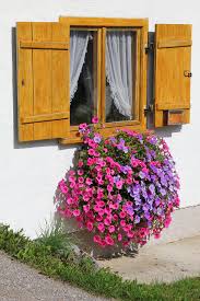 Since 1996, soares flower garden nursery has been making gardeners smile by sowing, growing and providing quality plants to avid and casual gardeners. 40 Window And Balcony Flower Box Ideas Photos Home Stratosphere