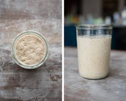 Frequently Asked Sourdough Starter Questions The Perfect Loaf