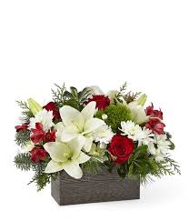 We did not find results for: Walk In A Winter Wood At From You Flowers