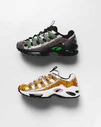 We did not find results for: Puma Cell Kingdom Pasteurinstituteindia Com