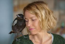 Penguin Bloom, la trama del film con Naomi Watts al cinema