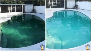 Check spelling or type a new query. How To Clean A Pool Filter Our Work Chlorine King Pool Service Fl
