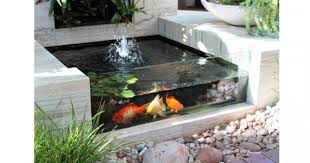 Yang penting disesuaikan antara luas kolam dengan jumlah ikan sehingga ikan dapat hidup dengan nyaman. 6 Ide Kolam Ikan Minimalis Dengan Batu Alam Popmama Com
