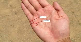 как по руке узнать сколько будет детей у женщины Kogda U Menya Budut Deti Gadanie Numerologiya Skolko Budet Detej Principy I Pravila Gadaniya