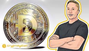 Not great, according to the plummeting valuation of dogecoin, the literal cartoon billionaire's personal favorite cryptocurrency. News Doge Dogecoin Elonmusk Tesla Elon Musk Admits His Position As Former Ceo Of Dogecoin Doge Elon Musk Elon