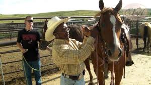 (or we can add a link to your ranch for a fee) $25/year for a text link in the body of this page. Hall Of Fame World Champion Bull Rider Charlie Sampson Article
