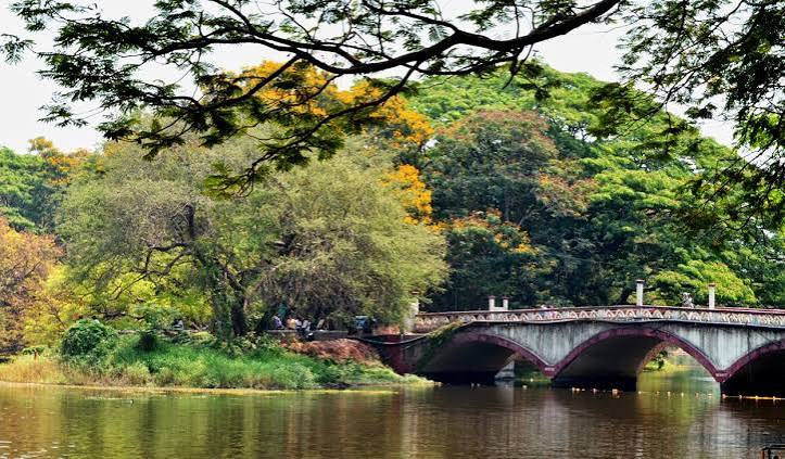 Sanjay Gandhi National Park, Borivali East, Mumbai – SceneLoc8