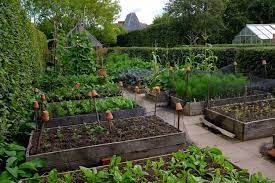 Monty has been growing vegetables since he was a small child. Longmeadow Monty Don