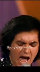 Siempre Camilo Sesto sus fans