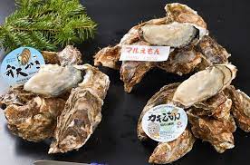 北海道厚岸町の『カキえもん』『マルえもん』『弁天かき』３種類の牡蠣をご紹介｜ふるさとチョイス - ふるさと納税サイト