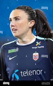 Engen norway hi-res stock photography and images