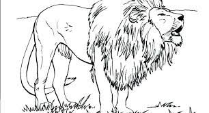 Download this zoo coloring page for a colorful activity. Cool Lion Coloring Pages Pdf Ideas 2021 Lion Coloring Pages Lion Coloring Animal Coloring Pages