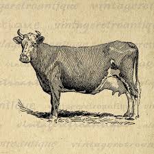 Pin On Love Of Tribal