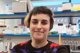 Study reveals how tiny changes in gene expression can lead to big  differences in eye size