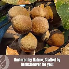 Image result for Terminalia bellirica