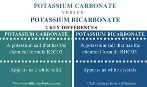 Carbonate compounds also give off carbon dioxide when treated with dilute acids. Difference Between Potassium Carbonate And Potassium Bicarbonate Compare The Difference Between Similar Terms