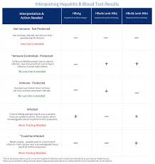 Hepatitis means inflammation of the liver. Hepatitis B Foundation Understanding Your Hepatitis B Test Results