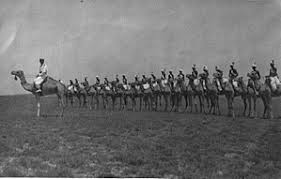 Thats why they added the. Camel Cavalry Wikipedia